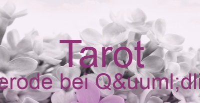 Tarot Dankerode bei Qüdlinburg | Top-Experten für Kartenlegen, Wahrsagen, Hellsehen, Zukunftsdeutung. Tarot Dankerode bei Qüdlinburg | Top-Experten für Kartenlegen, Wahrsagen, Hellsehen, Zukunftsdeutung.